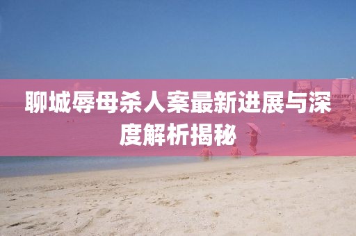 聊城辱母殺人案最新進(jìn)展與深度解析揭秘