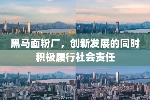 黑馬面粉廠，創(chuàng)新發(fā)展的同時積極履行社會責(zé)任