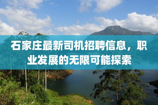 石家莊最新司機(jī)招聘信息，職業(yè)發(fā)展的無(wú)限可能探索