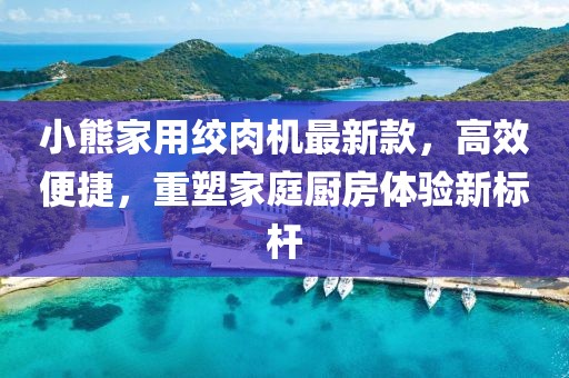 小熊家用絞肉機(jī)最新款，高效便捷，重塑家庭廚房體驗(yàn)新標(biāo)桿