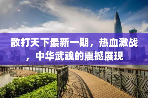 散打天下最新一期，熱血激戰(zhàn)，中華武魂的震撼展現(xiàn)