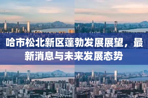 哈市松北新區(qū)蓬勃發(fā)展展望，最新消息與未來(lái)發(fā)展態(tài)勢(shì)