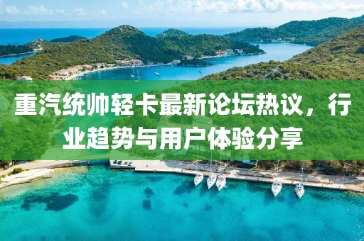 重汽統(tǒng)帥輕卡最新論壇熱議，行業(yè)趨勢與用戶體驗分享