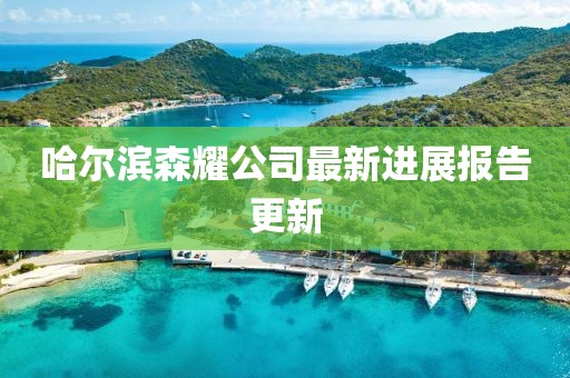 哈爾濱森耀公司最新進(jìn)展報(bào)告更新