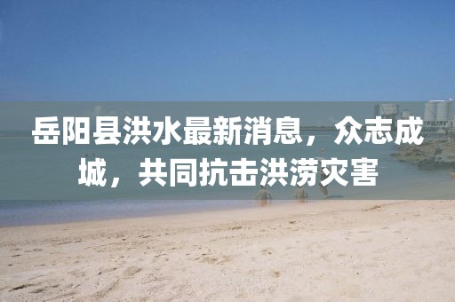 岳陽(yáng)縣洪水最新消息，眾志成城，共同抗擊洪澇災(zāi)害