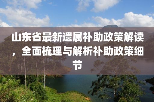 山東省最新遺屬補(bǔ)助政策解讀，全面梳理與解析補(bǔ)助政策細(xì)節(jié)