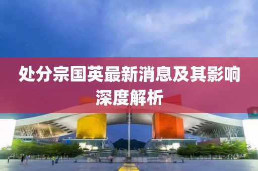 處分宗國英最新消息及其影響深度解析