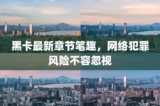 黑卡最新章節(jié)筆趣，網(wǎng)絡(luò)犯罪風(fēng)險(xiǎn)不容忽視