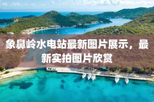 象鼻嶺水電站最新圖片展示，最新實拍圖片欣賞