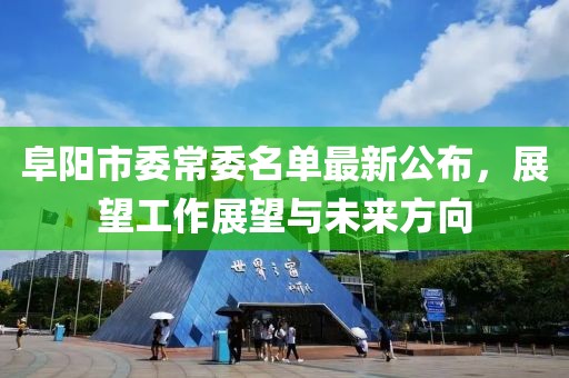 阜陽市委常委名單最新公布，展望工作展望與未來方向