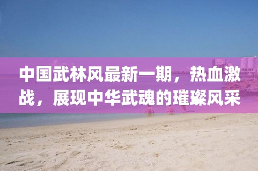 中國武林風(fēng)最新一期，熱血激戰(zhàn)，展現(xiàn)中華武魂的璀璨風(fēng)采