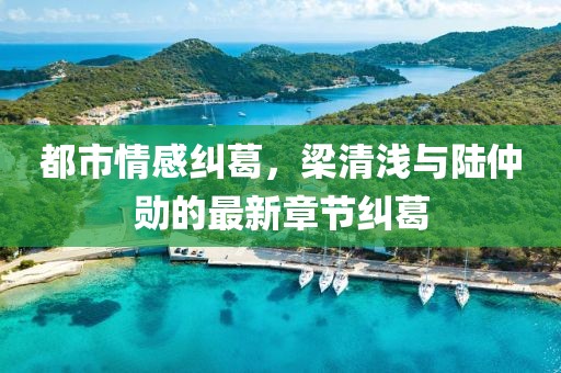 都市情感糾葛，梁清淺與陸仲勛的最新章節(jié)糾葛