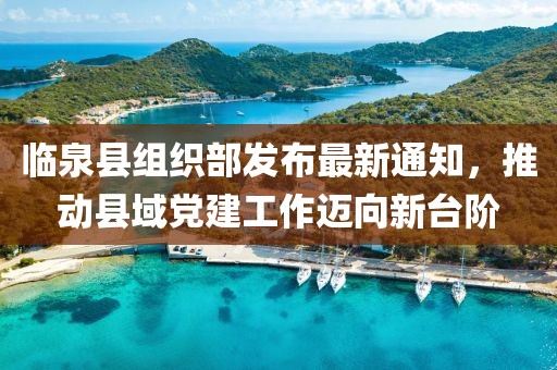 臨泉縣組織部發(fā)布最新通知，推動(dòng)縣域黨建工作邁向新臺(tái)階