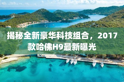 揭秘全新豪華科技組合，2017款哈佛H9最新曝光