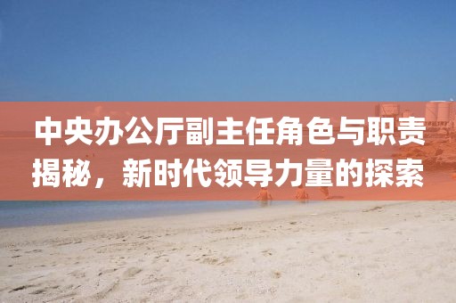 中央辦公廳副主任角色與職責揭秘，新時代領導力量的探索