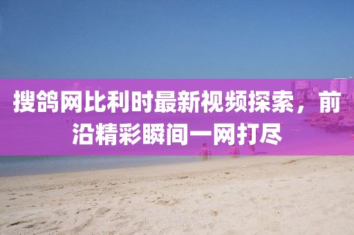 搜鴿網(wǎng)比利時(shí)最新視頻探索，前沿精彩瞬間一網(wǎng)打盡