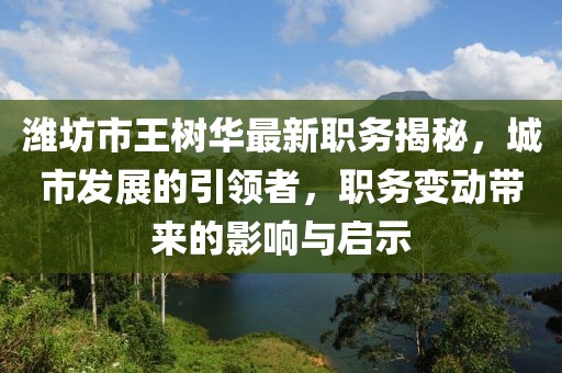 濰坊市王樹(shù)華最新職務(wù)揭秘，城市發(fā)展的引領(lǐng)者，職務(wù)變動(dòng)帶來(lái)的影響與啟示