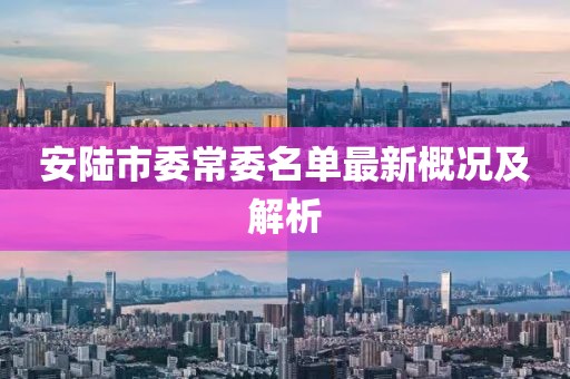 安陸市委常委名單最新概況及解析