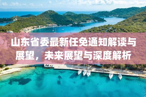 山東省委最新任免通知解讀與展望，未來展望與深度解析