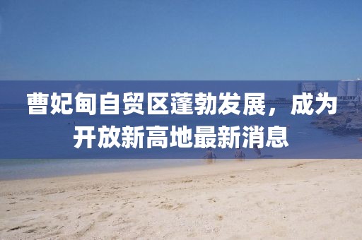 曹妃甸自貿(mào)區(qū)蓬勃發(fā)展，成為開放新高地最新消息