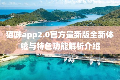 貓咪app2.0官方最新版全新體驗與特色功能解析介紹