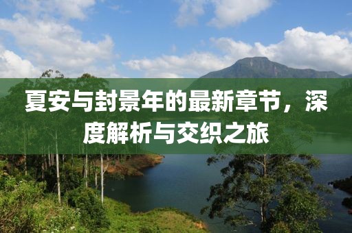 夏安與封景年的最新章節(jié)，深度解析與交織之旅