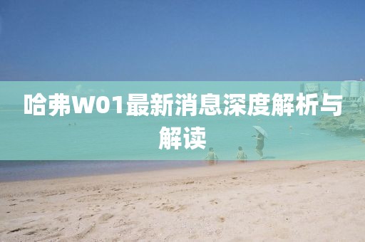 哈弗W01最新消息深度解析與解讀