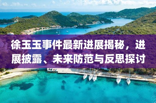 徐玉玉事件最新進(jìn)展揭秘，進(jìn)展披露、未來防范與反思探討