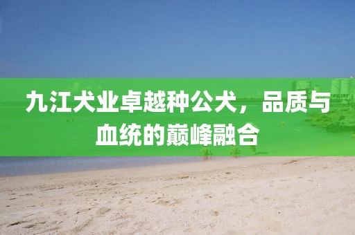 九江犬業(yè)卓越種公犬，品質(zhì)與血統(tǒng)的巔峰融合