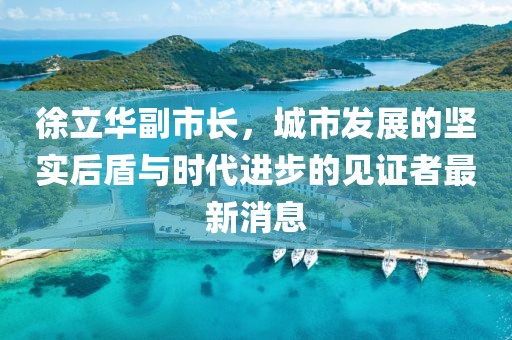 徐立華副市長(zhǎng)，城市發(fā)展的堅(jiān)實(shí)后盾與時(shí)代進(jìn)步的見證者最新消息