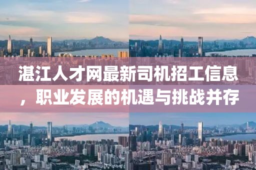 湛江人才網(wǎng)最新司機招工信息，職業(yè)發(fā)展的機遇與挑戰(zhàn)并存