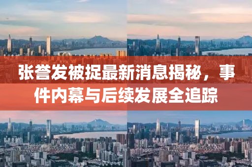 張譽(yù)發(fā)被捉最新消息揭秘，事件內(nèi)幕與后續(xù)發(fā)展全追蹤