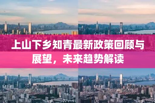 上山下鄉(xiāng)知青最新政策回顧與展望，未來趨勢解讀