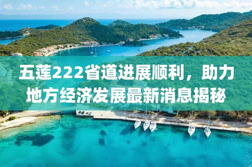 五蓮222省道進(jìn)展順利，助力地方經(jīng)濟(jì)發(fā)展最新消息揭秘