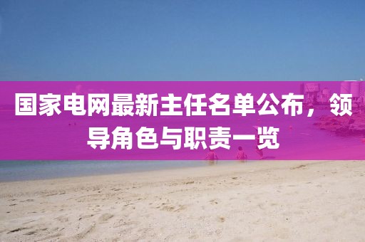 國家電網(wǎng)最新主任名單公布，領(lǐng)導(dǎo)角色與職責(zé)一覽
