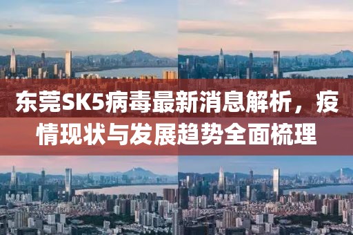 東莞SK5病毒最新消息解析，疫情現(xiàn)狀與發(fā)展趨勢全面梳理