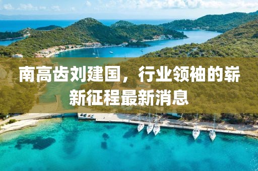 南高齒劉建國，行業(yè)領(lǐng)袖的嶄新征程最新消息