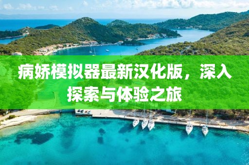 病嬌模擬器最新漢化版，深入探索與體驗(yàn)之旅