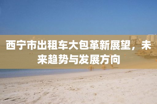 西寧市出租車大包革新展望，未來趨勢(shì)與發(fā)展方向