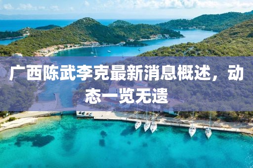 廣西陳武李克最新消息概述，動(dòng)態(tài)一覽無(wú)遺