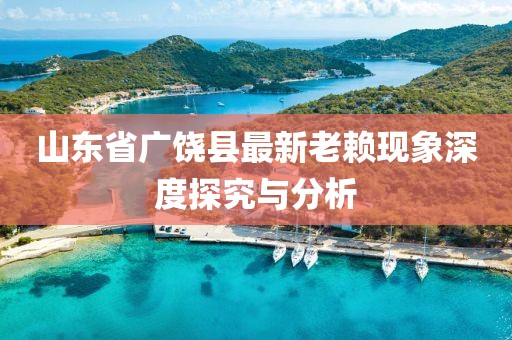 山東省廣饒縣最新老賴現(xiàn)象深度探究與分析