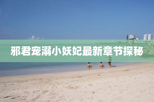 邪君寵溺小妖妃最新章節(jié)探秘