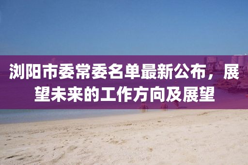 瀏陽(yáng)市委常委名單最新公布，展望未來(lái)的工作方向及展望