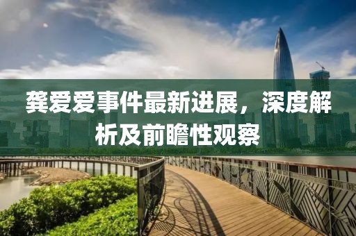 龔愛愛事件最新進展，深度解析及前瞻性觀察