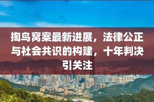 掏鳥窩案最新進(jìn)展，法律公正與社會共識的構(gòu)建，十年判決引關(guān)注