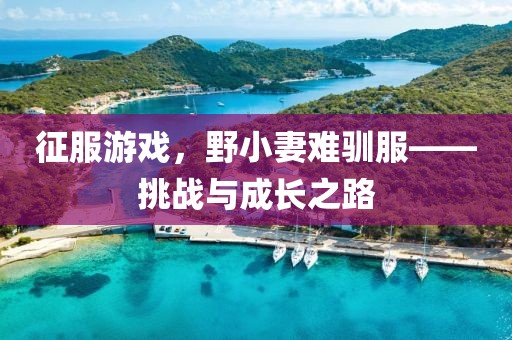 征服游戲，野小妻難馴服——挑戰(zhàn)與成長(zhǎng)之路