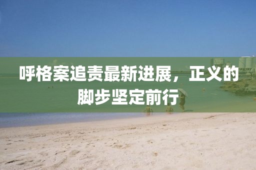 呼格案追責最新進展，正義的腳步堅定前行