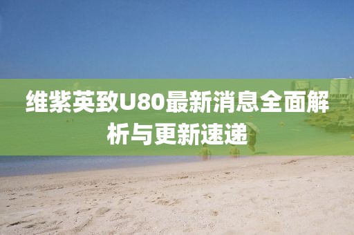 維紫英致U80最新消息全面解析與更新速遞