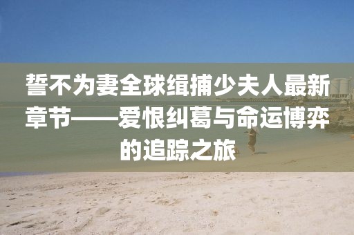 誓不為妻全球緝捕少夫人最新章節(jié)——愛恨糾葛與命運(yùn)博弈的追蹤之旅