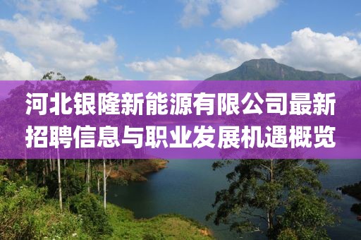 河北銀隆新能源有限公司最新招聘信息與職業(yè)發(fā)展機遇概覽